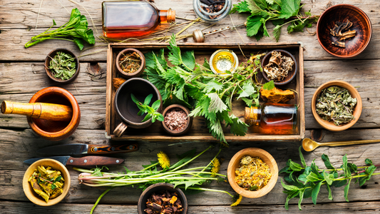 Entenda se os medicamentos naturais realmente funcionam!