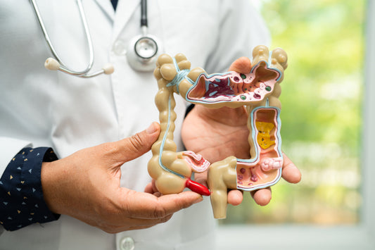 Importância do bom funcionamento intestinal: tudo que você precisa saber